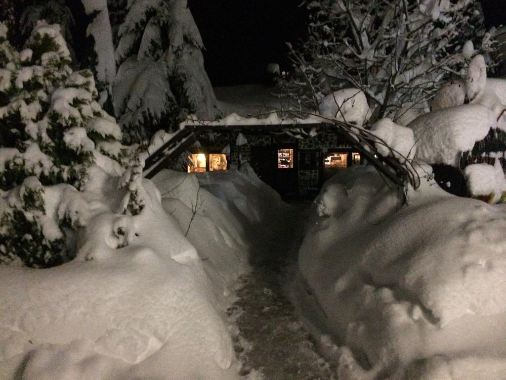 Fortuna Apartments Bansko Dış mekan fotoğraf