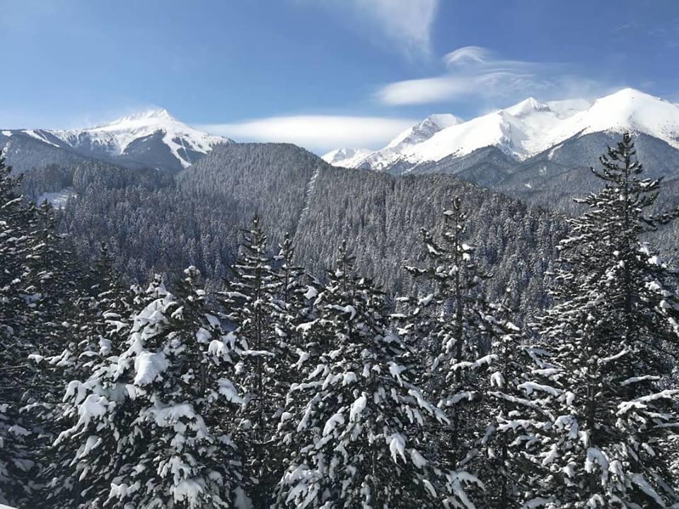 Fortuna Apartments Bansko Dış mekan fotoğraf